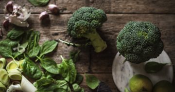 Brokolice: Zelenina pro doplnění živin a posílení nervů